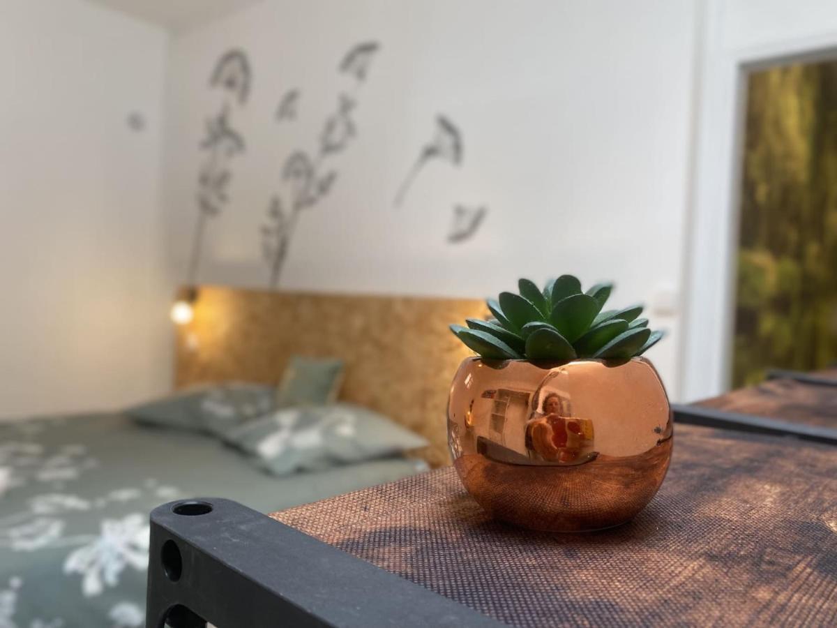 La Maison D'Angelique - Colocation Hoteliere A 150M Gare Tgv- Grande Cuisine Equipee & Salon - Fibre - Netflix Niort Zewnętrze zdjęcie